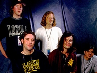 Gin Blossoms