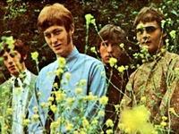 Grass Roots