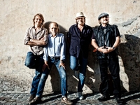 Hamburg Blues Band