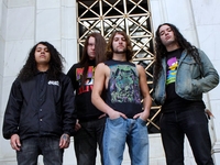 Havok