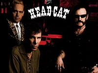 Head Cat