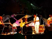 Hot Tuna
