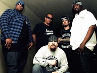 Infectious Grooves