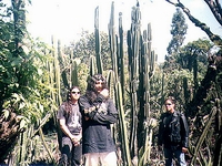 Kabak