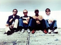 Lightning Seeds