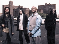 Living Colour