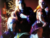 Masters Apprentices