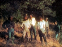 Moby Grape