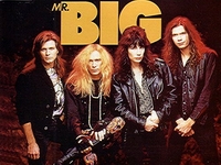 Mr. Big