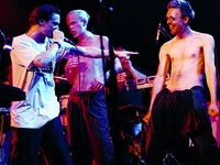 Mr. Bungle