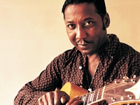 Muddy Waters