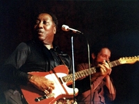 Muddy Waters