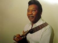 Muddy Waters