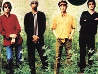 Ocean Colour Scene
