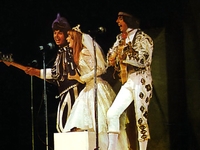 Os Mutantes