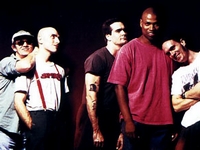 Rollins Band