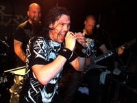 Scar Symmetry