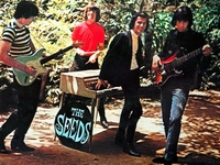 Seeds
