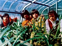 Seeds