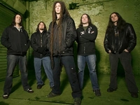 Shadows Fall