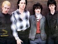 Siouxsie And The Banshees