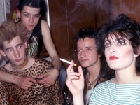 Siouxsie And The Banshees