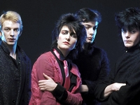 Siouxsie And The Banshees