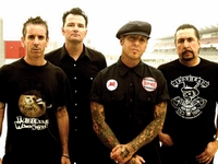 Social Distortion