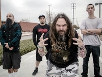 Soulfly