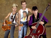 Stray Cats
