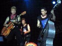 Stray Cats