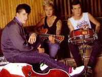 Stray Cats
