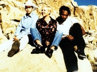 Throwing Muses
