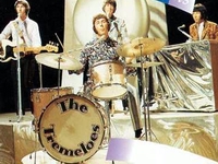Tremeloes