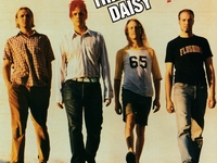 Tripping Daisy