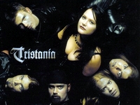 Tristania