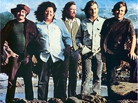 Turtles