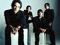 Wallflowers