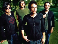 Wallflowers