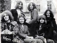 Warm Dust