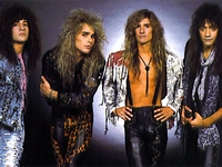 White Lion