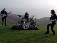 Winery Dogs