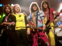 Y & T