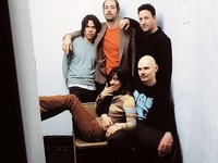 Zwan